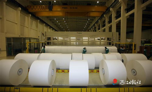 晨鸣纸业 匠心智造铸就卓越，技术开发满载荣誉