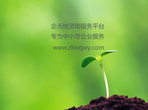 高新技术企业认定流程指南 技术开发类企业